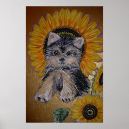 Cute Little Dog and Sunflowers ポスター