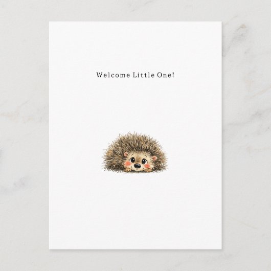 Cute Little Hedgehog New Baby Card. ポストカード (正面)