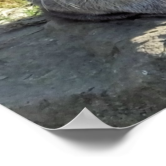 CUTE LITTLE OTTER ポスター (角)