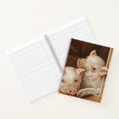 Cute little piglets in a barn at the farm ノートブック (内部)