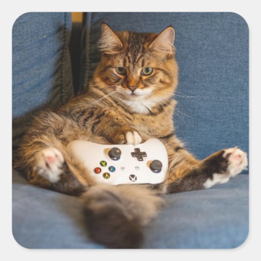 Cute Little Tabby Cat Gamer Kitty スクエアシール (正面)