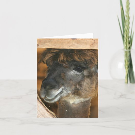 Cute Llama Farm Animal Photography Note カード (正面)