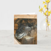 Cute Llama Farm Animal Photography Note カード (黄色い花)