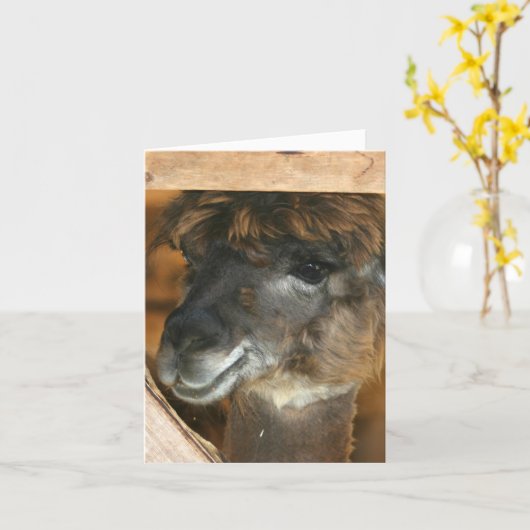 Cute Llama Farm Animal Photography Note カード (黄色い花)