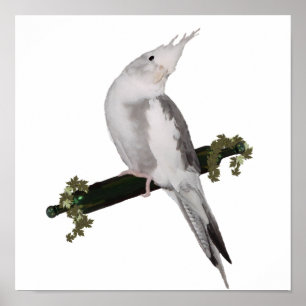 Cute Lutino Cockatiel Bird Ivy Perch Animal ポスター