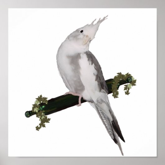 Cute Lutino Cockatiel Bird Ivy Perch Animal ポスター (正面)