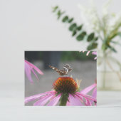 Cute Map Butterfly on Coneflower DIY Postcard シーズンポストカード (スタンド正面)