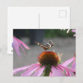 Cute Map Butterfly on Coneflower DIY Postcard シーズンポストカード (正面/裏面)