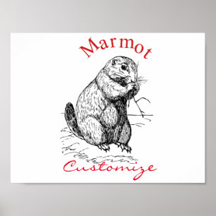 Cute Marmot Animal Thunder_Cove ポスター