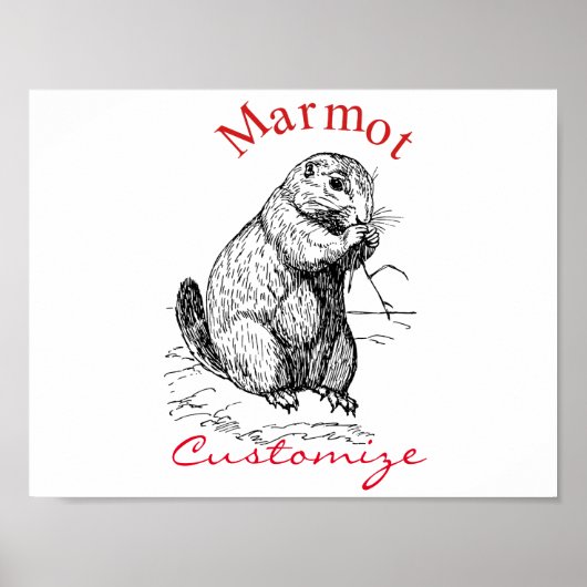 Cute Marmot Animal Thunder_Cove ポスター (正面)