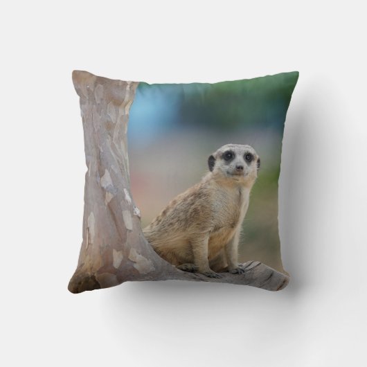 Cute Meerkat Sat on Tree クッション (裏面)