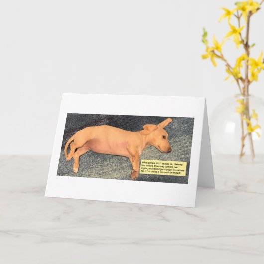 Cute Moment for Myself Dachshund カード (黄色い花)