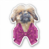 Cute Nala Shih Tzu Puppy Dog  シール (正面)