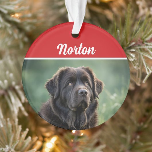 Cute Newfoundland Dog Holiday Christmas Photo オーナメント (ツリー)