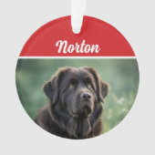 Cute Newfoundland Dog Holiday Christmas Photo オーナメント (正面)
