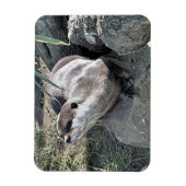 CUTE OTTER  マグネット (縦)