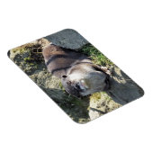 CUTE OTTER マグネット (右側)