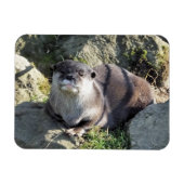 CUTE OTTER マグネット (横)