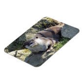 CUTE OTTER マグネット (左側)