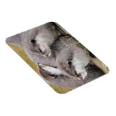 CUTE OTTERS マグネット (右側)