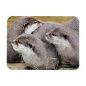 CUTE OTTERS マグネット (横)