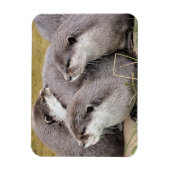 CUTE OTTERS マグネット (縦)