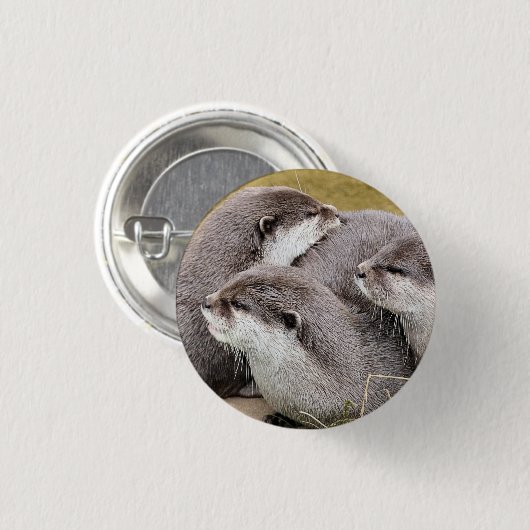 CUTE OTTERS 缶バッジ (正面&裏面)