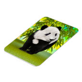 Cute Panda Bear Kawaii Animal Lover Perfect Gift マグネット (左側)
