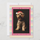 Cute Paw Print Rainbow Retro Christmas Pet Photo シーズンカード (正面)