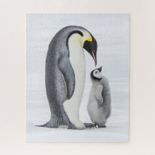 Cute Penguin and Chick On Ice ジグソーパズル