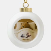 Cute Personalized Bear Snowflake Framed Ornament セラミックボールオーナメント (正面)