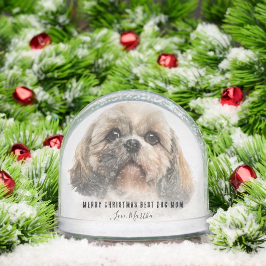 Cute Pets Photos Merry Christmas (クリスマス)