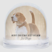 Cute Pets Photos Merry Christmas (裏面)