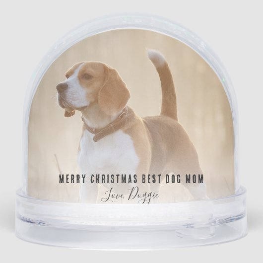 Cute Pets Photos Merry Christmas (裏面)