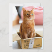 Cute Photo Watercolor Meowy Christmas Box Cat シーズンカード (裏面)