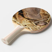 CUTE PIG 卓球ラケット (正面アングル)