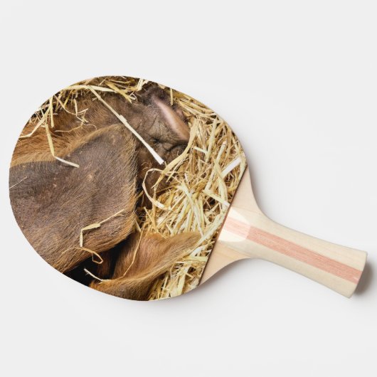 CUTE PIG 卓球ラケット (横)