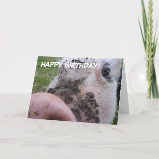 Cute Pig Birthday Card カード