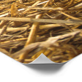 Cute Pigs Poster ポスター (角)