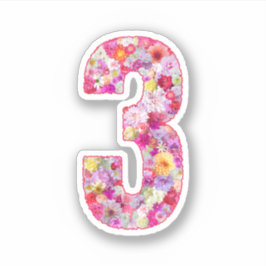 Cute Pink Decorative Botanical Floral Number 3 シール