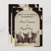 cute pitbull elegant party 招待状 (正面/裏面)