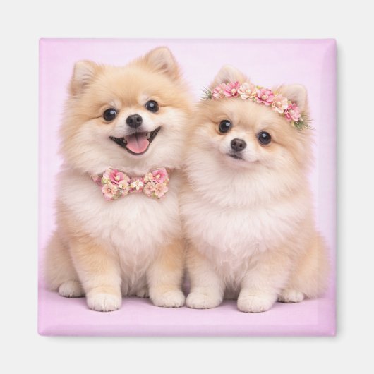 Cute Pomeranian Couple Valentine Illustration  マグネット (正面)