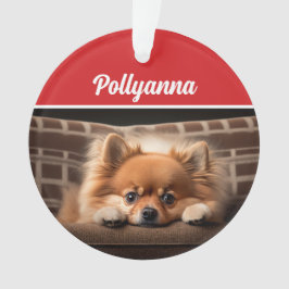 Cute Pomeranian Dog Holiday Christmas Photo オーナメント