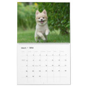 Cute Pomeranians Calendar 2026 Dogs カレンダー (3月 2026)