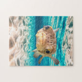 Cute Puffer Fish Ocean Animal Art  ジグソーパズル (横)