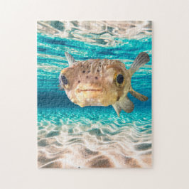 Cute Puffer Fish Ocean Animal Art ジグソーパズル