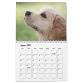 Cute Puppies Calendar カレンダー (1月 2027)