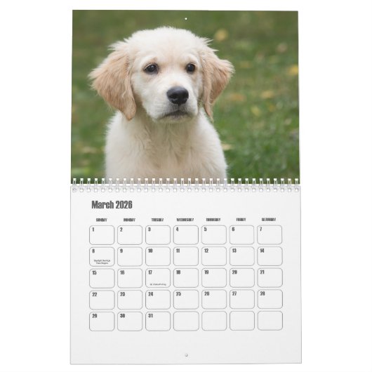 Cute Puppies Calendar カレンダー (3月 2026)