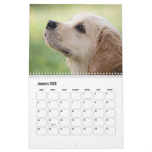 Cute Puppies Calendar カレンダー (1月 2026)