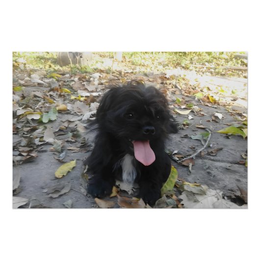 Cute Puppy Alert ポスター (正面)